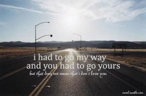 tumblr_kr4vj8CM2Y1qzy6quo1_500