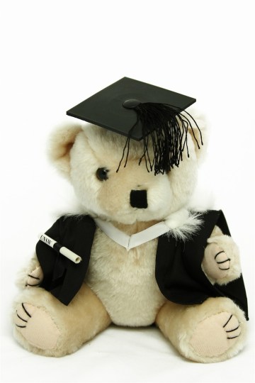0000335_bachelor_graduation_bear_faculty_of_arts_and_social_sciences
