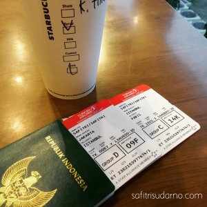 boarding pass to paris