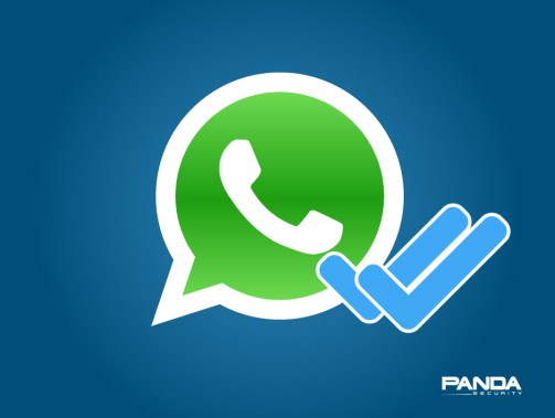whatsapp call and messages