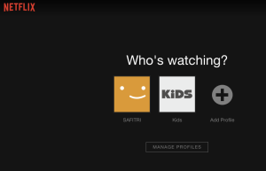 manage profile netflix
