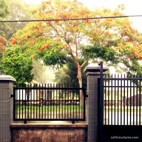 parents house kediri