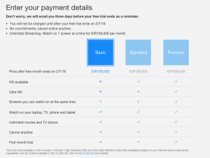 pilihan paket netflix