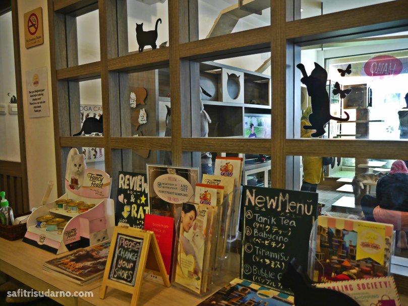 pintu masuk cutie cats cafe