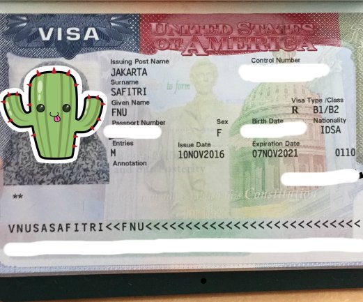 visa-amerika